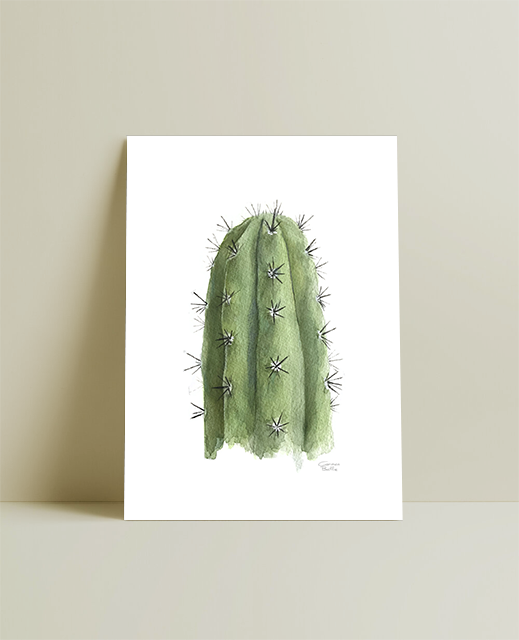 Cactus largo